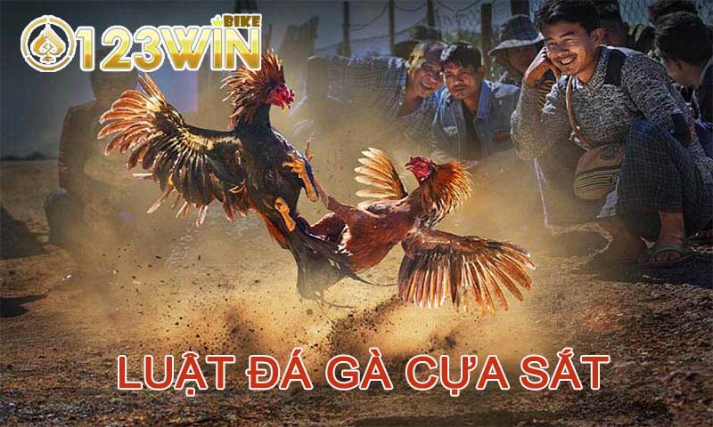 Luật chơi đá gà cựa sắt